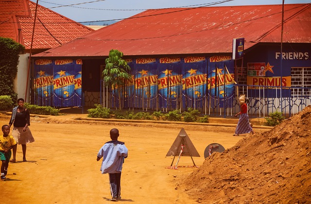 Architecture of African Houses