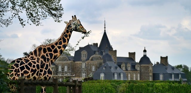 Zoo Buildings: Creative Design Ideas for Animal Habitats 10 Modern Zoo Building Innovations